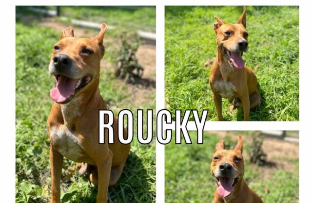 Roucky