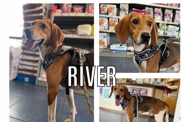 River