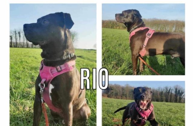 Rio