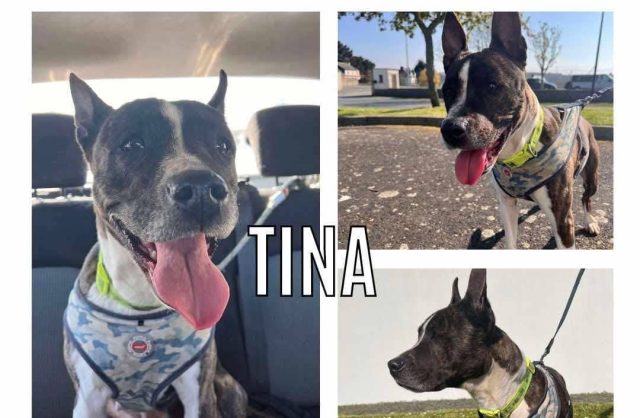 Tina