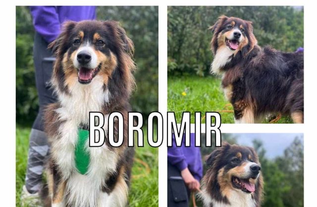 Boromir