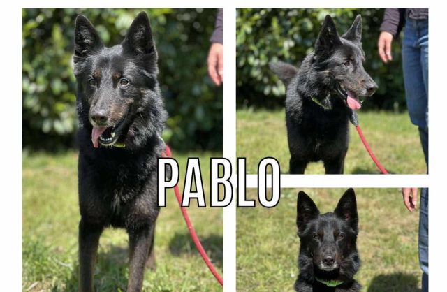 Pablo
