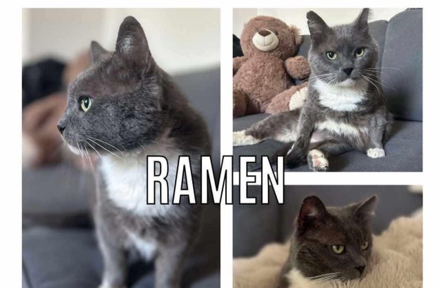 Ramen