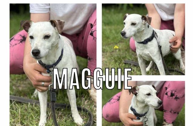 Magguie
