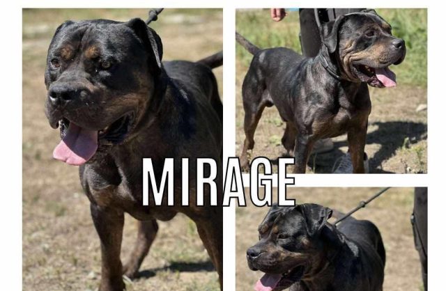 Mirage