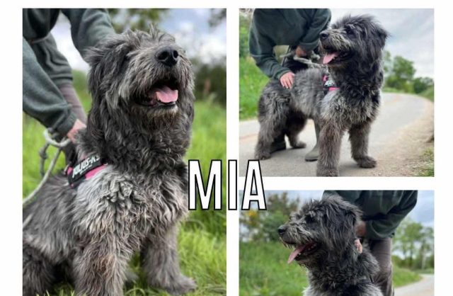 Mia