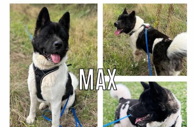 Max