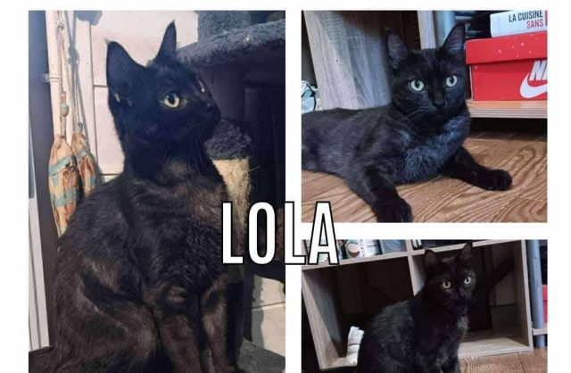 Lola