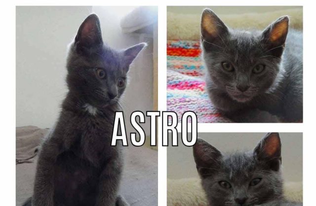 Astro
