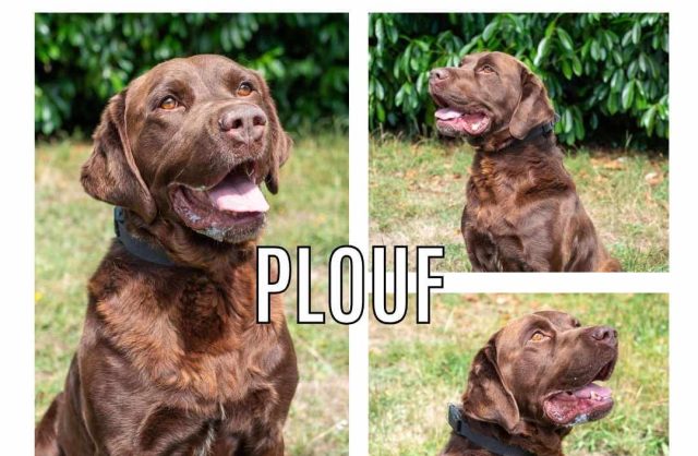 Plouf