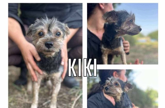 Kiki