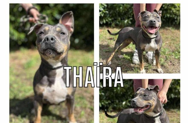 Thaïra