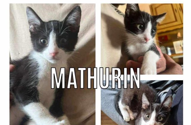 Mathurin