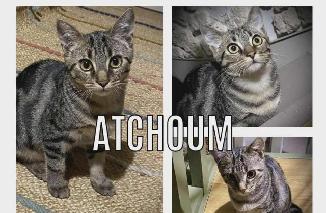 Atchoum