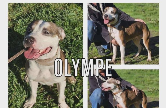 Olympe