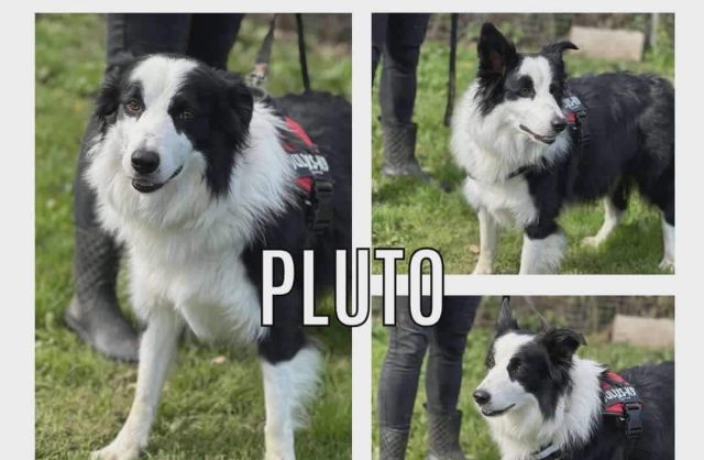 Pluto