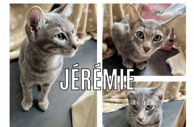 Jérémie
